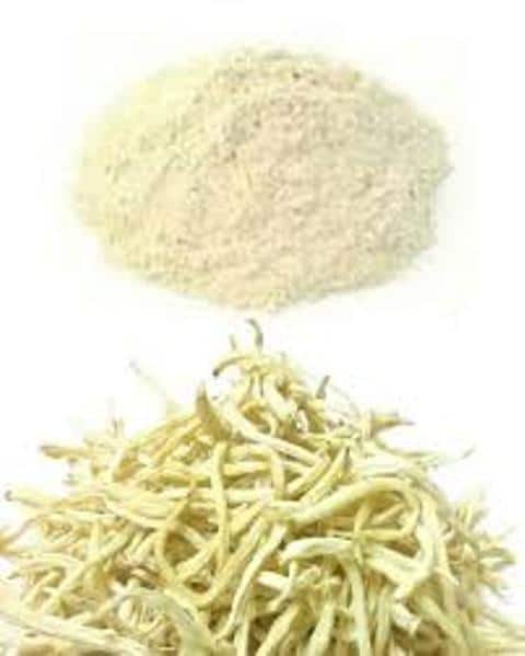 safed musli for males in hindi